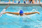 Swimming vs Bentley  Wheaton College Swimming vs Bentley. - Photo By: KEITH NORDSTROM : Wheaton, Swimming, Bentley